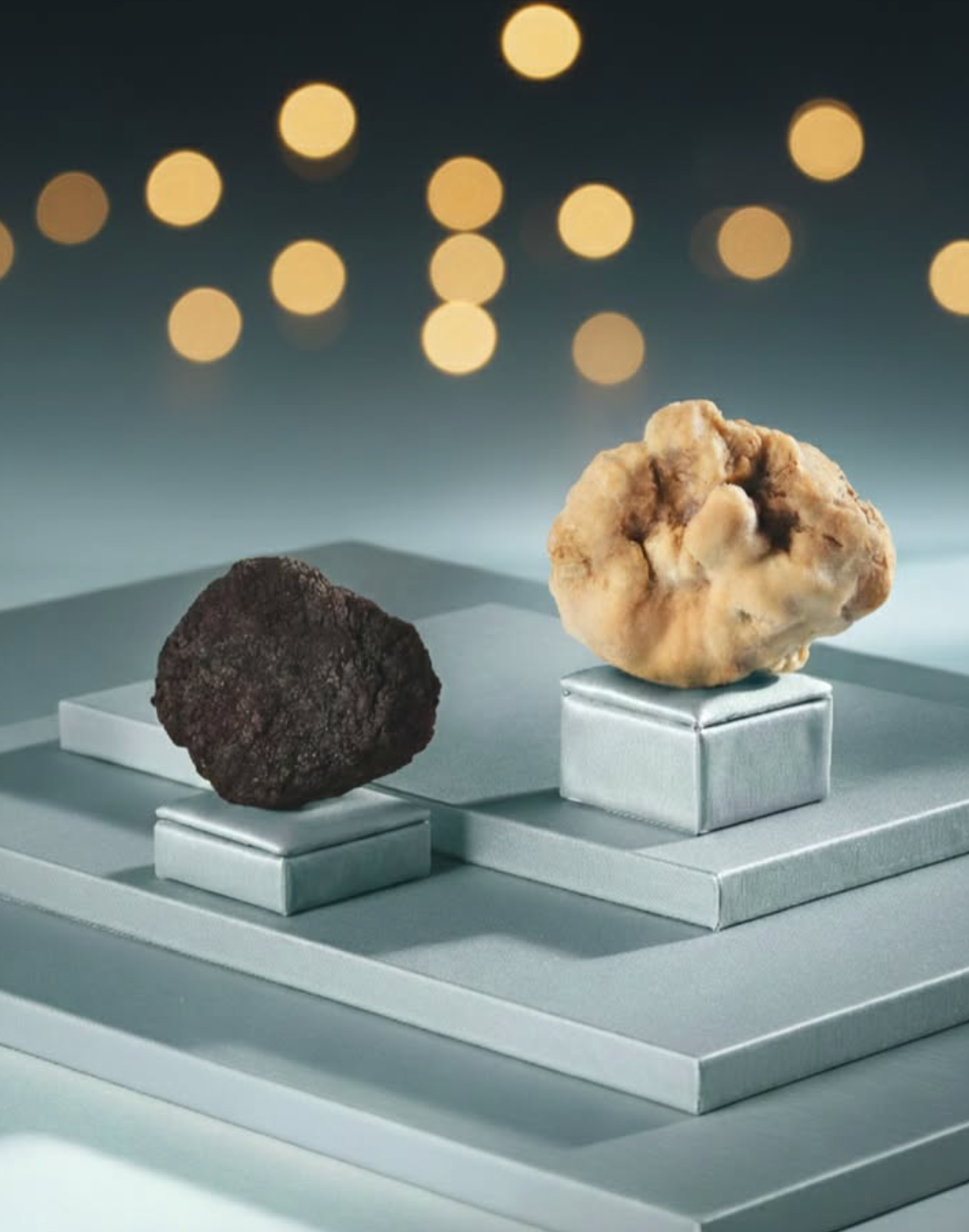 Tartufo al cioccolato - Box To Share Alba White, 20g