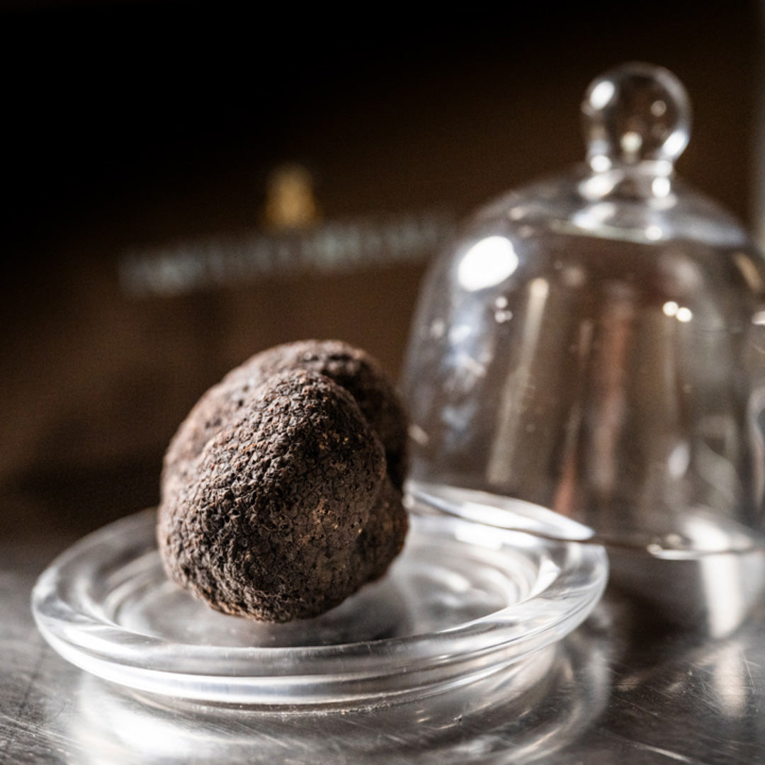 Tartufo al cioccolato - Cloche Design Nero, 50 g